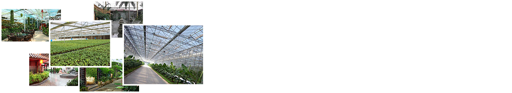 24小時(shí)免費咨詢(xún)、免費技術(shù)指導